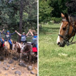 This Scenic Horseback Ride in Oregon Leads to One Incredible Waterfall