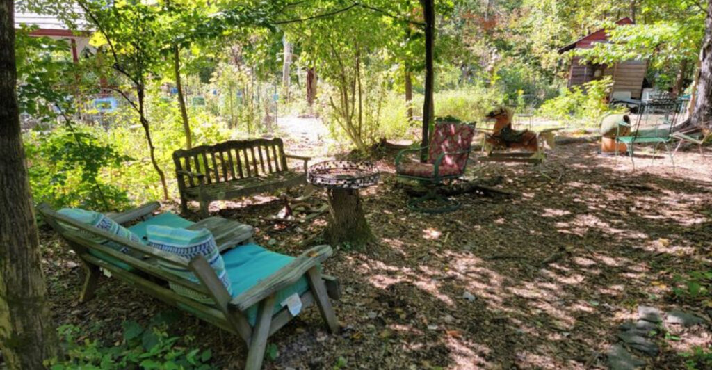 This Scenic Princeton Preserve Was Almost Lost to Time