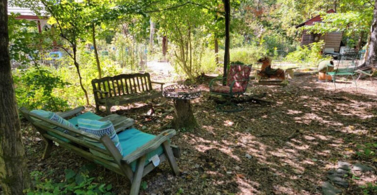 This Scenic Princeton Preserve Was Almost Lost to Time
