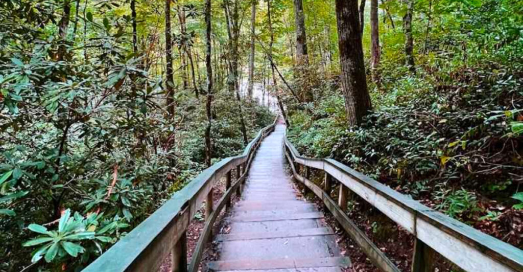 This Scenic Stairway Trail in North Carolina Is a Spring Hiker’s Dream
