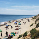 This Serene Undeveloped Beach In Massachusetts Feels Almost Like A Dream