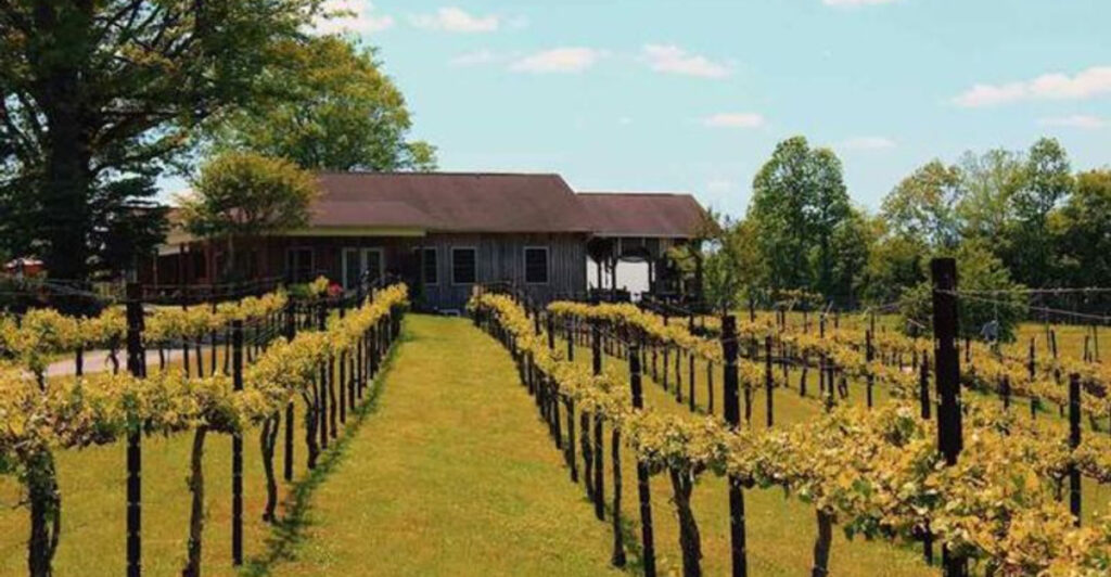 This Small Town in North Carolina Is the Kind of Place You’ll Want to Explore All Day