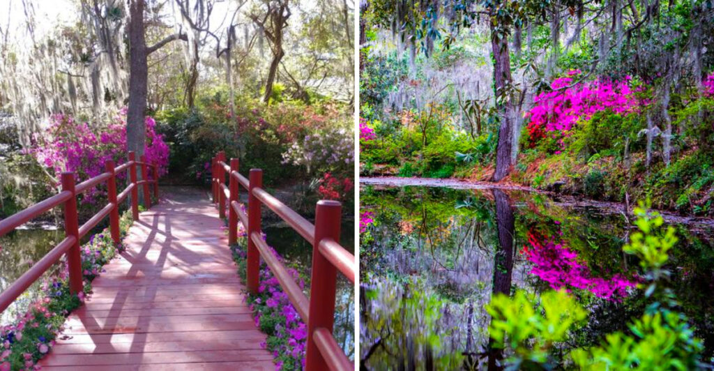 This South Carolina Garden Is Famous for Spanish Moss and Storybook Bridges