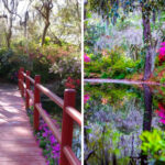 This South Carolina Garden Is Famous for Spanish Moss and Storybook Bridges