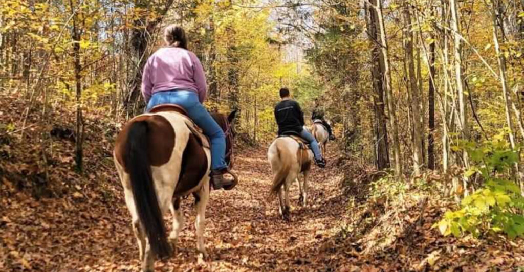 This Tennessee Horseback Escape Comes With Goats, Ponies, And Baby Cows