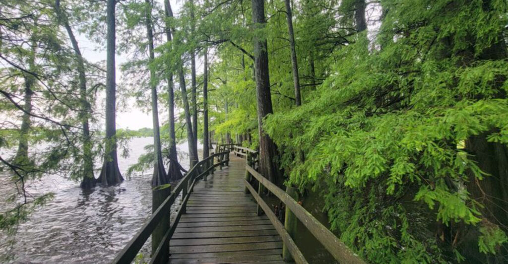This Tennessee Lake Was Created By Earthquakes And Still Feels Wild