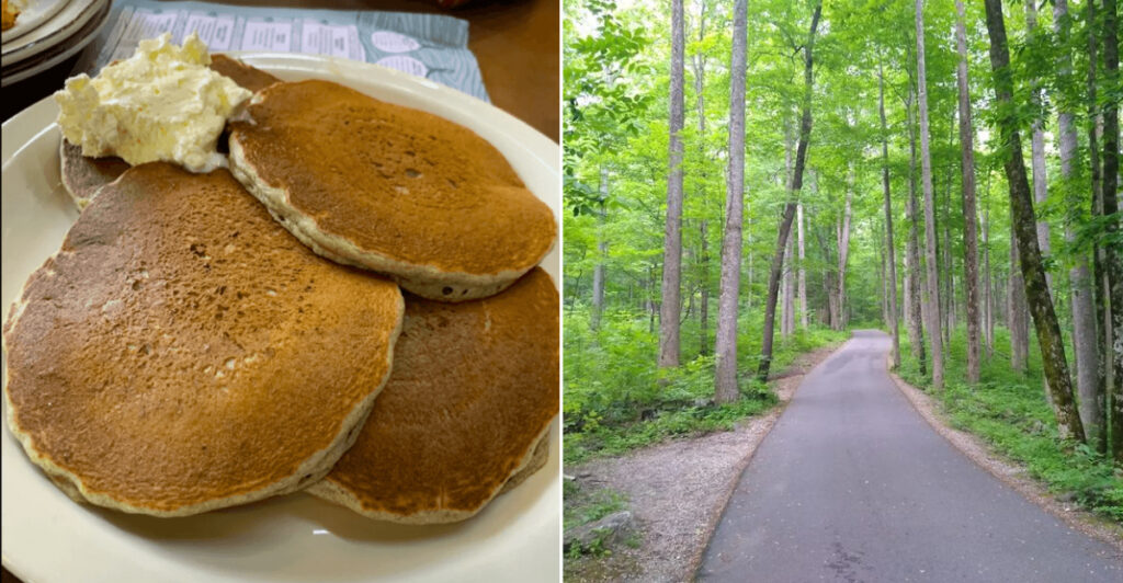 This Tennessee Mountain Town Has Black Bears, Buckwheat Pancakes, And Forest Trails