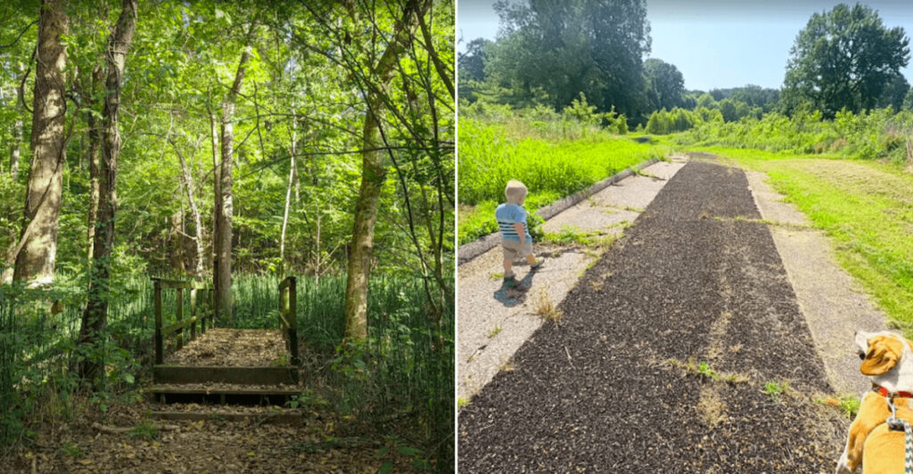This Tennessee Park Turned 24,000 Dumped Tires Into an Award-Winning Trail