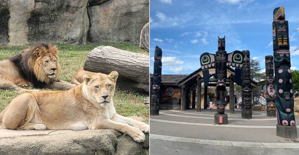This Tennessee Zoo Packs More Than 3,500 Animals Into One Classic Stop