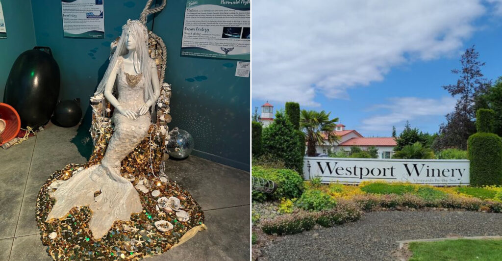 This Washington Museum Lets Adults Explore Mermaid Lore With Wine In Hand