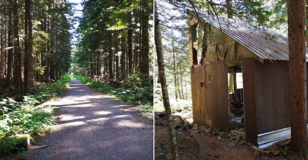 This Washington Trail Leads To A Ghost Town Hidden In The Cascades