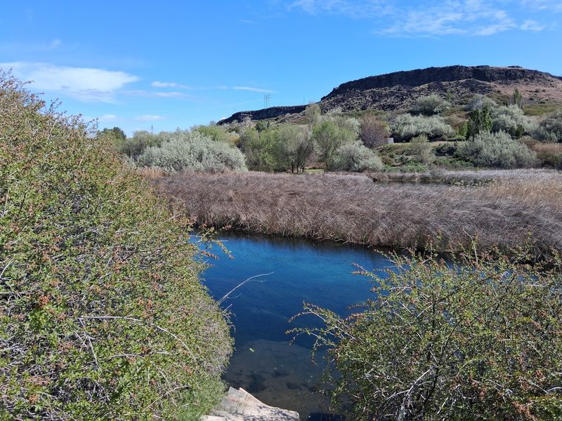 Thousand Springs State Park, Hagerman, Idaho Thousand Springs State Park, Hagerman, Idaho