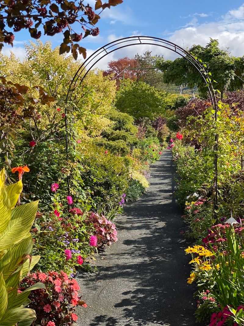 Thousands of Blooms, Countless Varieties Thousands of Blooms, Countless Varieties