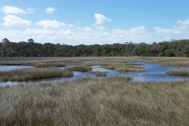Timucuan Ecological And Historic Preserve, Jacksonville, Florida Timucuan Ecological And Historic Preserve, Jacksonville, Florida