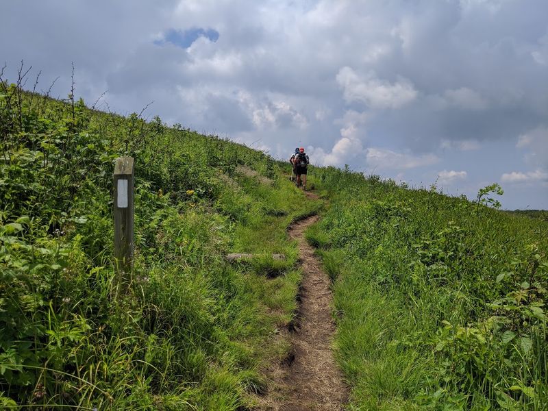 Tips for Families and First-Time Hikers