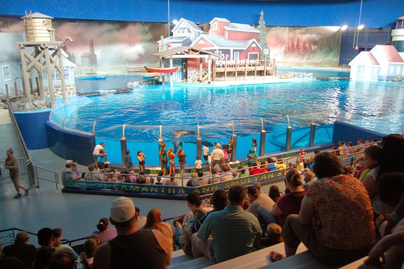 Tips for Planning Your Visit the Right Way