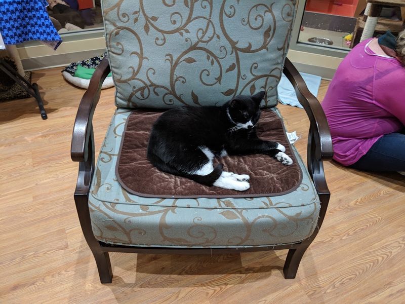 Tours, Cat Time, And A Reason To Stay Longer Tours, Cat Time, And A Reason To Stay Longer