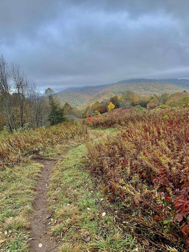 Trail Conditions and What to Expect Season by Season