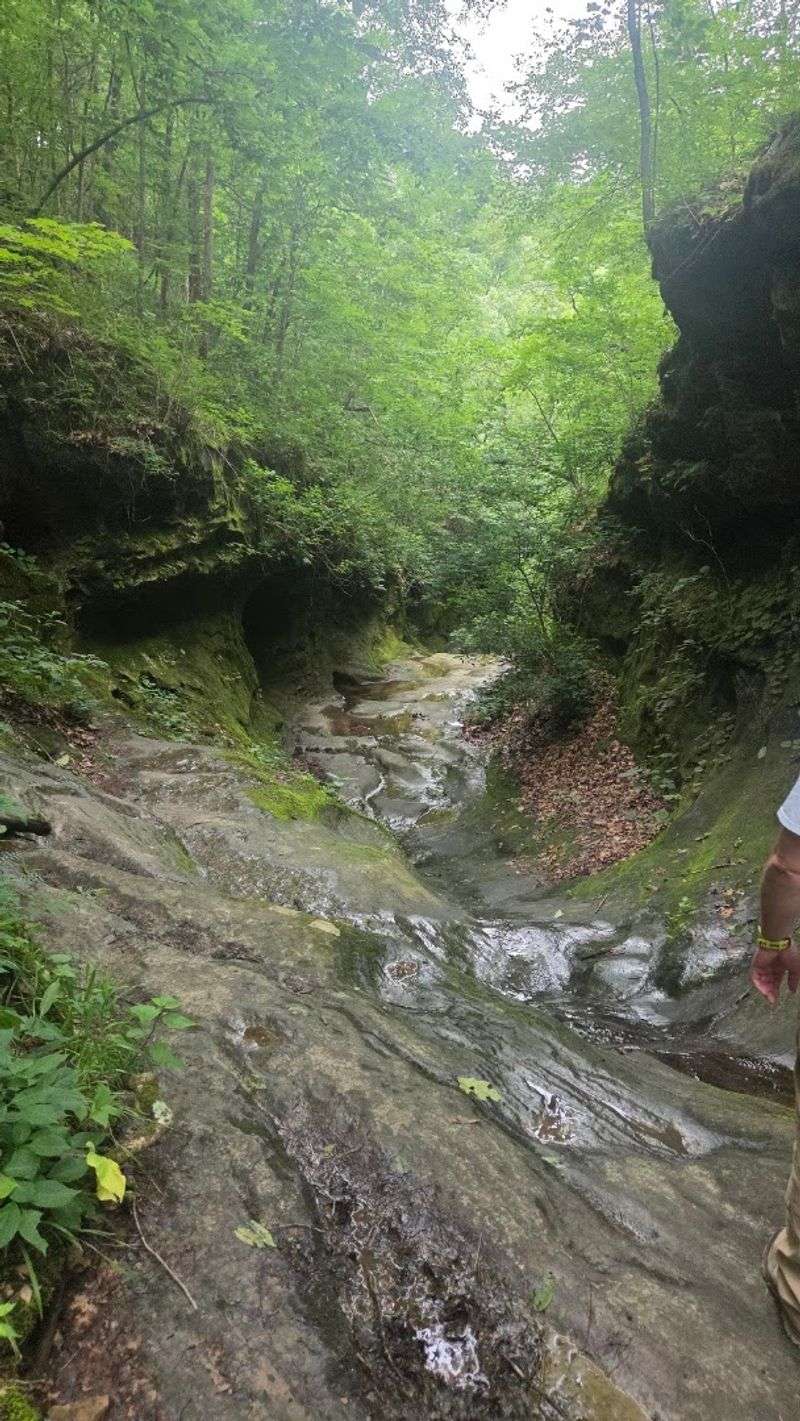 Trail Difficulty: What to Realistically Expect Trail Difficulty: What to Realistically Expect