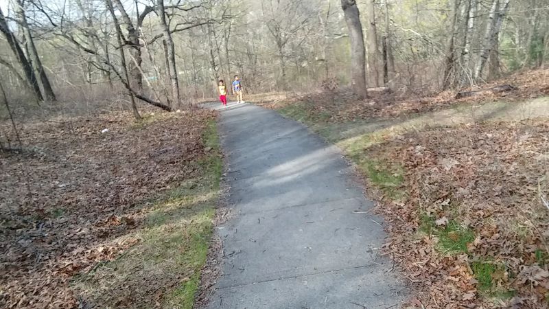 Trail Maintenance And The Community Behind It Trail Maintenance And The Community Behind It