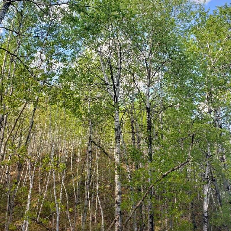 Trail Passes and What They Cost