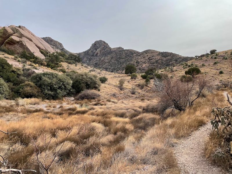 Trail Traffic: Just How Quiet Is It Out There Trail Traffic: Just How Quiet Is It Out There