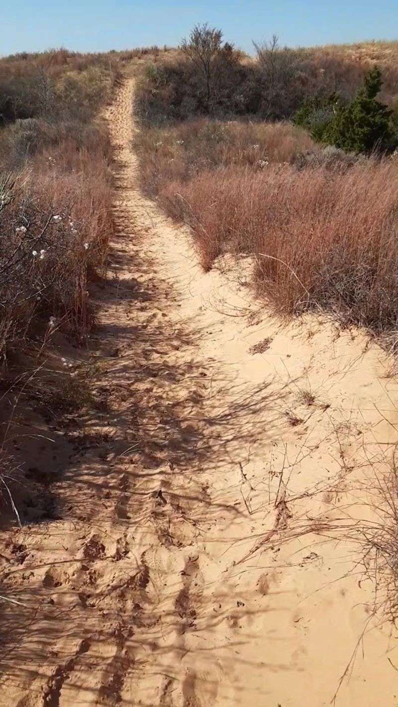 Trails Into Town and Other Ways to Explore Trails Into Town and Other Ways to Explore
