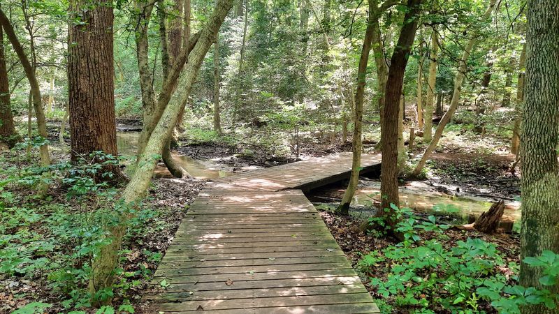 Trails That Cover Every Mood and Fitness Level