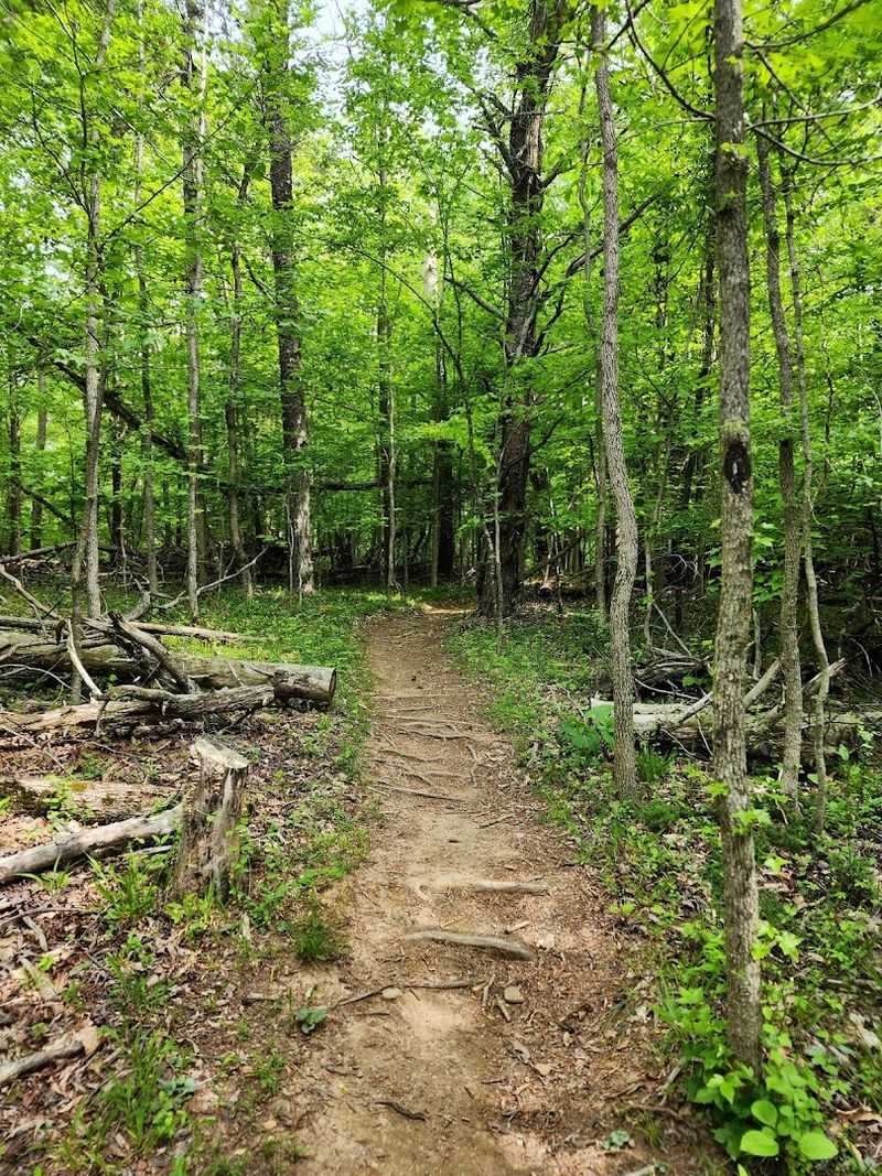 Trails That Cover Every Skill Level