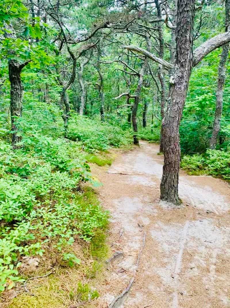 Trails That Take You Somewhere Completely Different