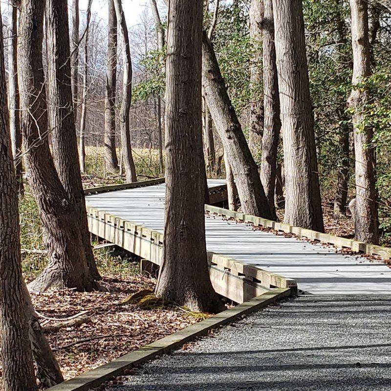 Trails That Welcome Everyone, From Toddlers to Seniors Trails That Welcome Everyone, From Toddlers to Seniors