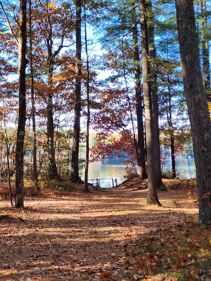 Trails That Wind Through 400 Acres of Mixed Forest Trails That Wind Through 400 Acres of Mixed Forest