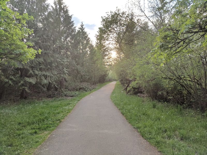 Trails Through Willows and Wide-Open Meadows