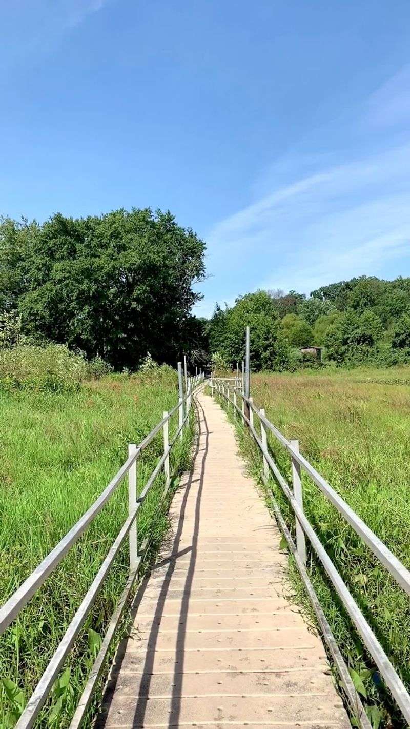 Trails for Every Level: From Strollers to Serious Hikers Trails for Every Level: From Strollers to Serious Hikers