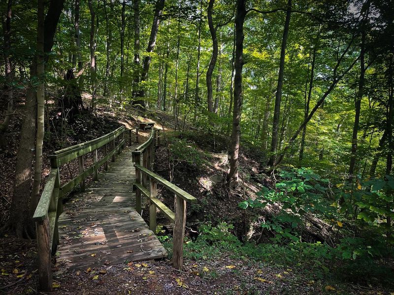 Trails for Every Pace and Every Skill Level Trails for Every Pace and Every Skill Level