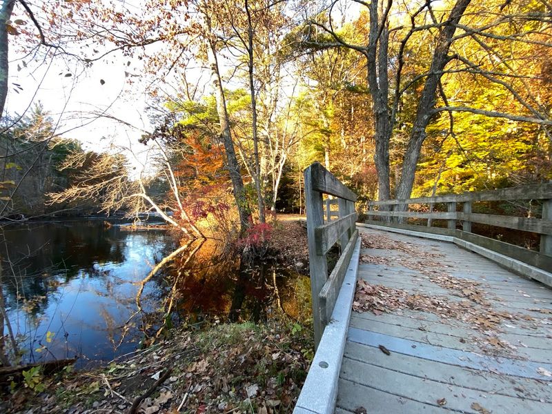Trails for Every Pace and Purpose