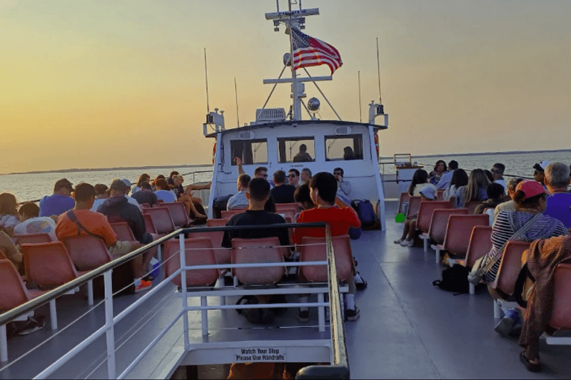 Traveling With Pets on the Ferry