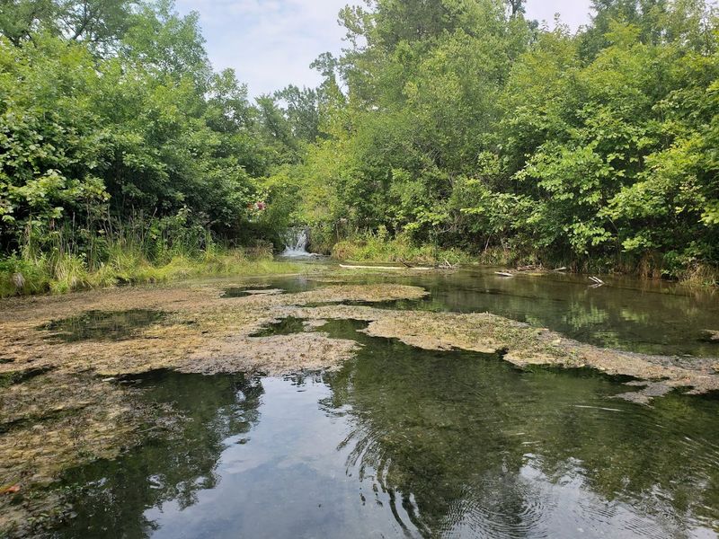 Travertine Creek and the Broader Water System Travertine Creek and the Broader Water System