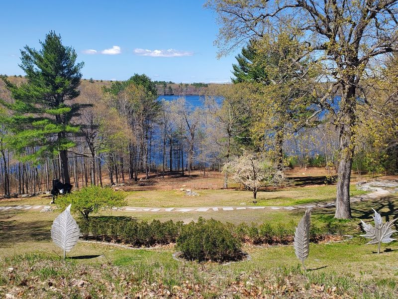 Trees, Terrain, and a Pond View Trees, Terrain, and a Pond View