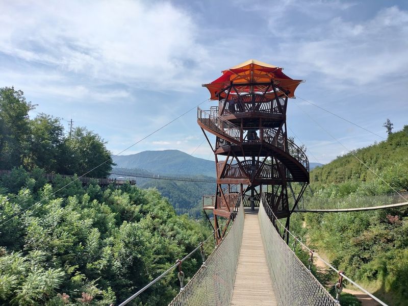 Tulip Tower and the Story Behind the Mountain