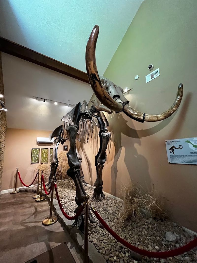 Tusker: The 12,000-Year-Old Welcome Committee Tusker: The 12,000-Year-Old Welcome Committee