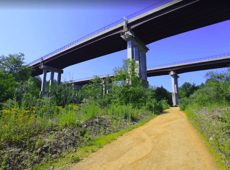 Two Forest Bridges Worth the Walk