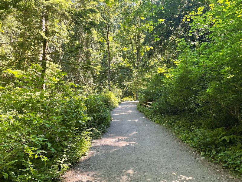 Two Ways to Get There, One Great Payoff