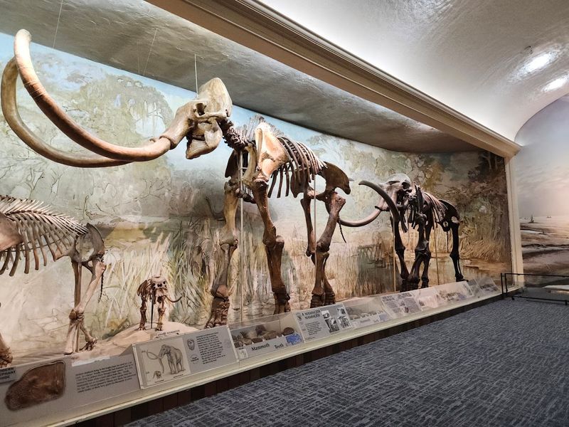 University of Nebraska State Museum (Morrill Hall), Lincoln, Nebraska University of Nebraska State Museum (Morrill Hall), Lincoln, Nebraska