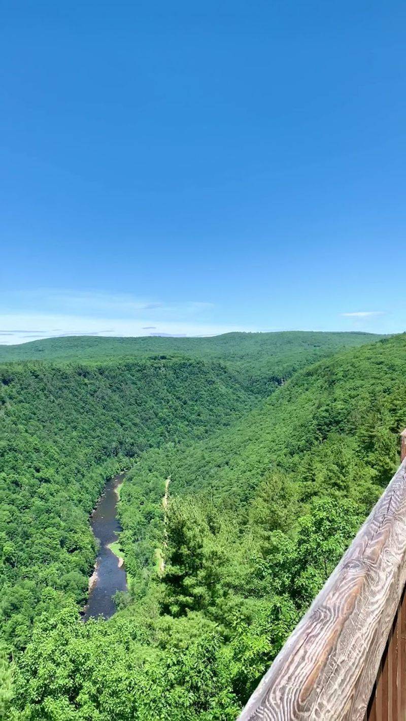Unveiling the Pennsylvania Grand Canyon at Leonard Harrison State Park