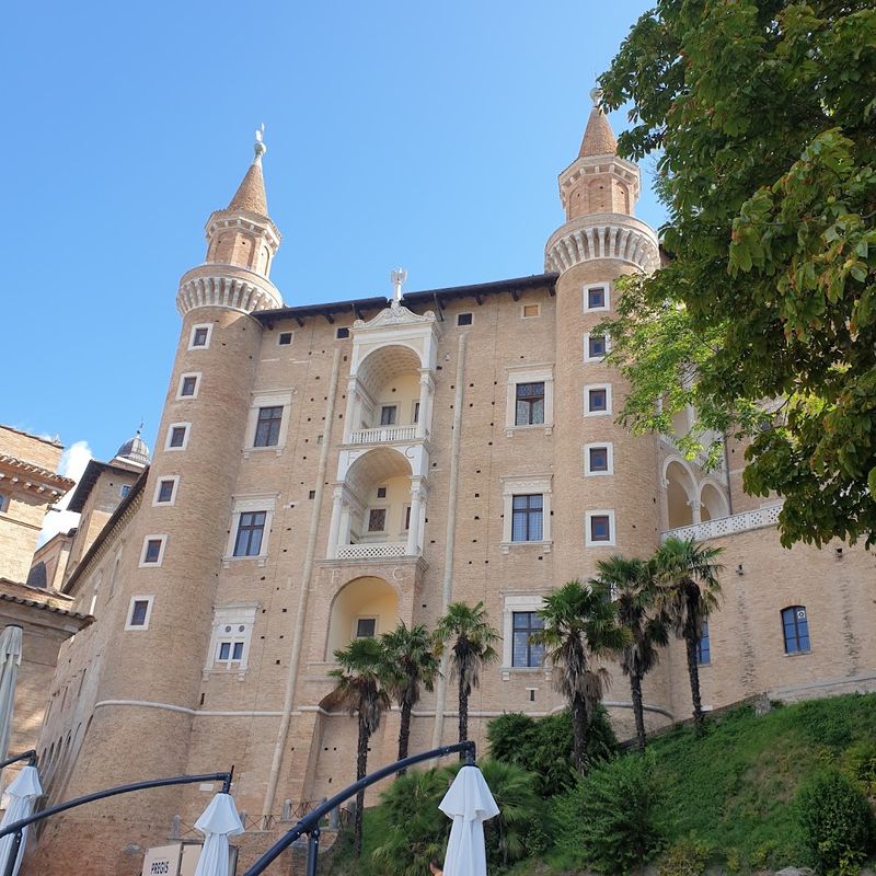 Urbino Urbino