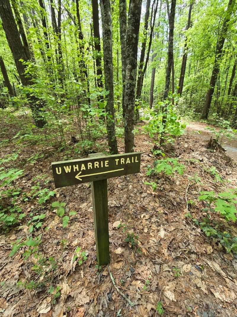 Uwharrie National Forest Uwharrie National Forest