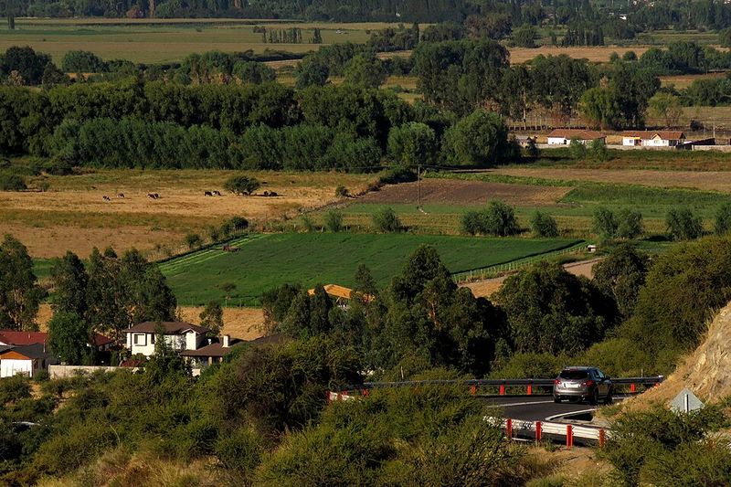 Valle de Colchagua, Santa Cruz, Chile
