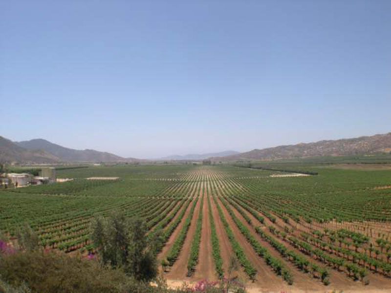 Valle de Guadalupe, Ensenada, Baja California, Mexico