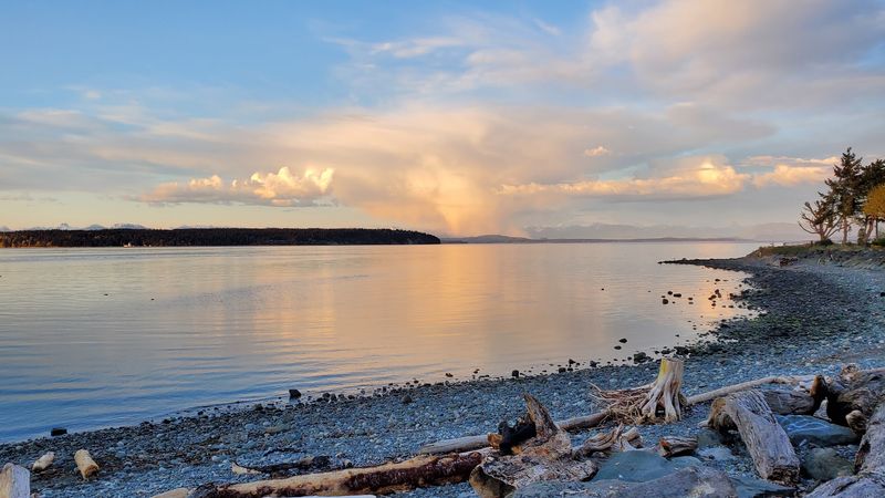 Vancouver Island, Campbell River, British Columbia, Canada Vancouver Island, Campbell River, British Columbia, Canada